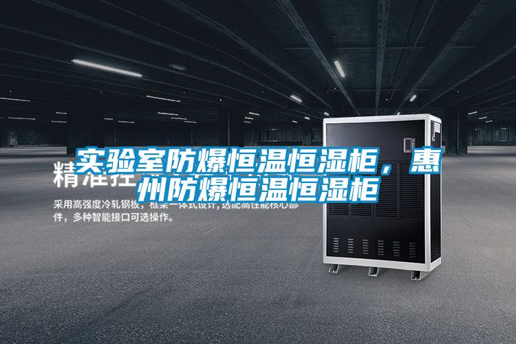 实验室防爆恒温恒湿柜，惠州防爆恒温恒湿柜