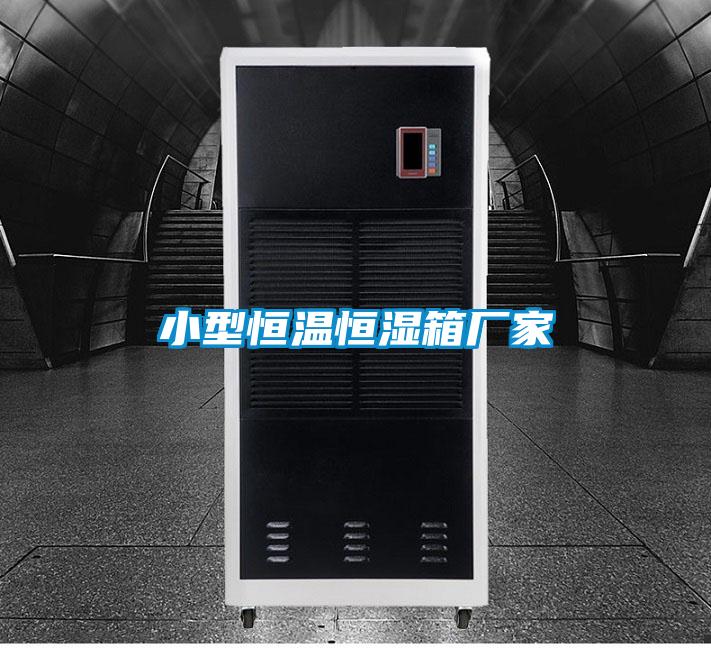 小型恒温恒湿箱厂家