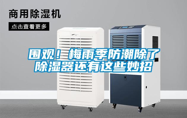 围观！梅雨季防潮除了除湿器还有这些妙招