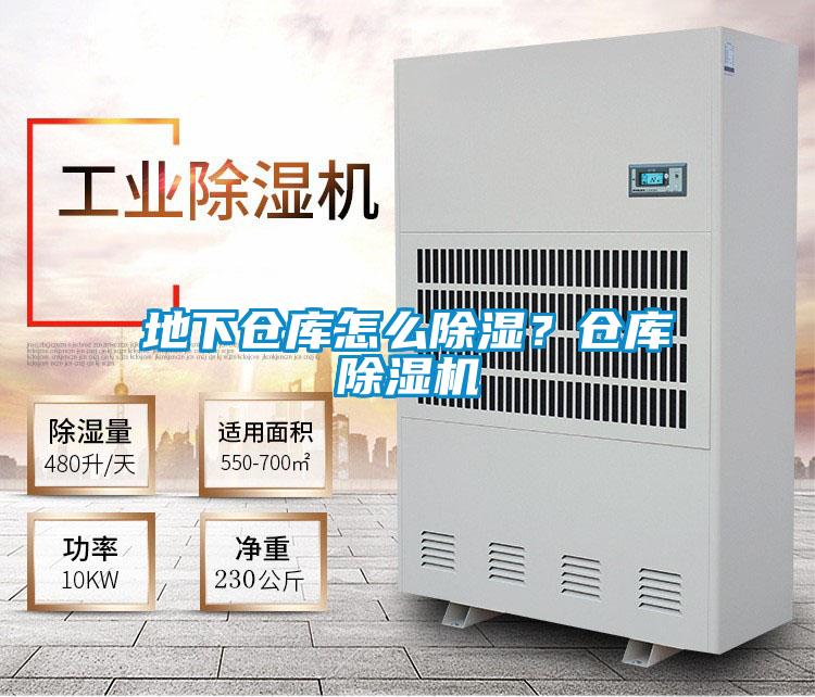 地下仓库怎么除湿？仓库除湿机