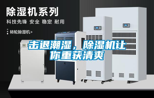 击退潮湿，除湿机让你重获清爽