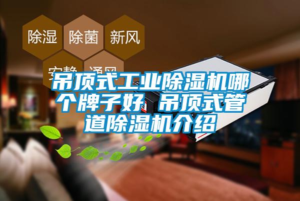 吊顶式工业除湿机哪个牌子好 吊顶式管道除湿机介绍