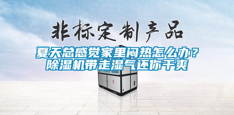 夏天总感觉家里闷热怎么办？除湿机带走湿气还你干爽