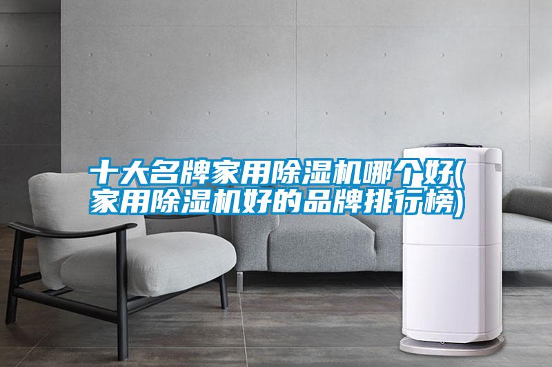 十大名牌家用除湿机哪个好(家用除湿机好的品牌排行榜)