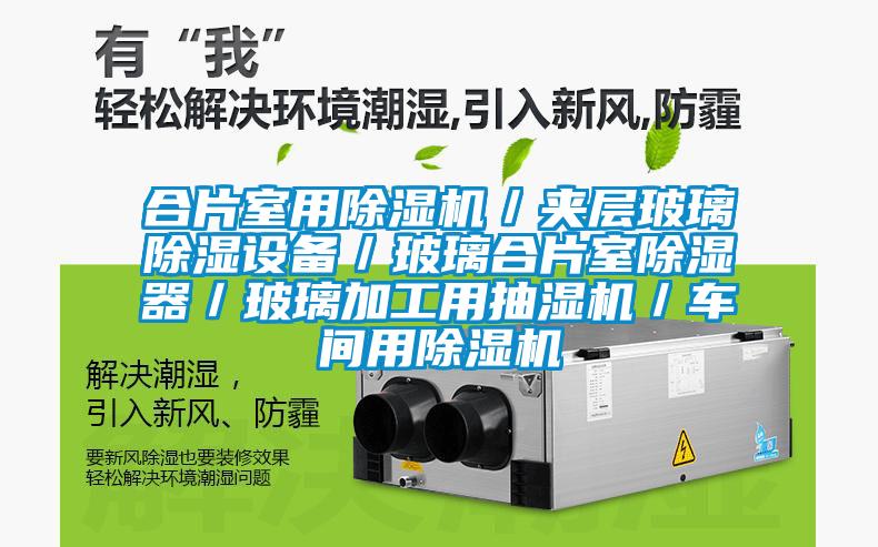 合片室用除湿机／夹层玻璃除湿设备／玻璃合片室除湿器／玻璃加工用抽湿机／车间用除湿机