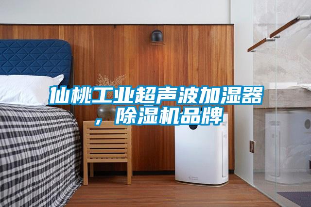 仙桃工业超声波加湿器，除湿机品牌