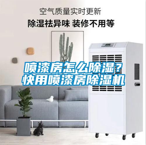 喷漆房怎么除湿？快用喷漆房除湿机