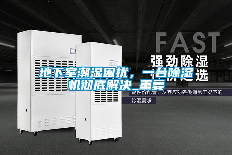 地下室潮湿困扰，一台除湿机彻底解决_重复