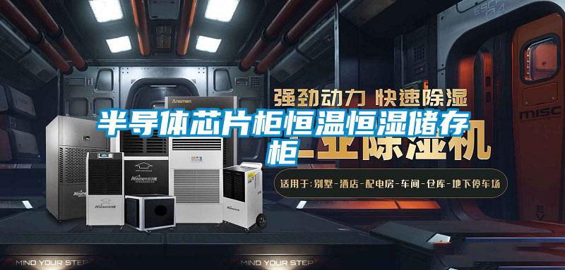 半导体芯片柜恒温恒湿储存柜