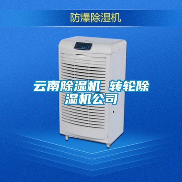 云南除湿机 转轮除湿机公司