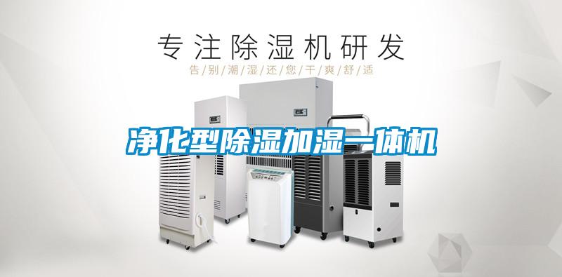 净化型除湿加湿一体机