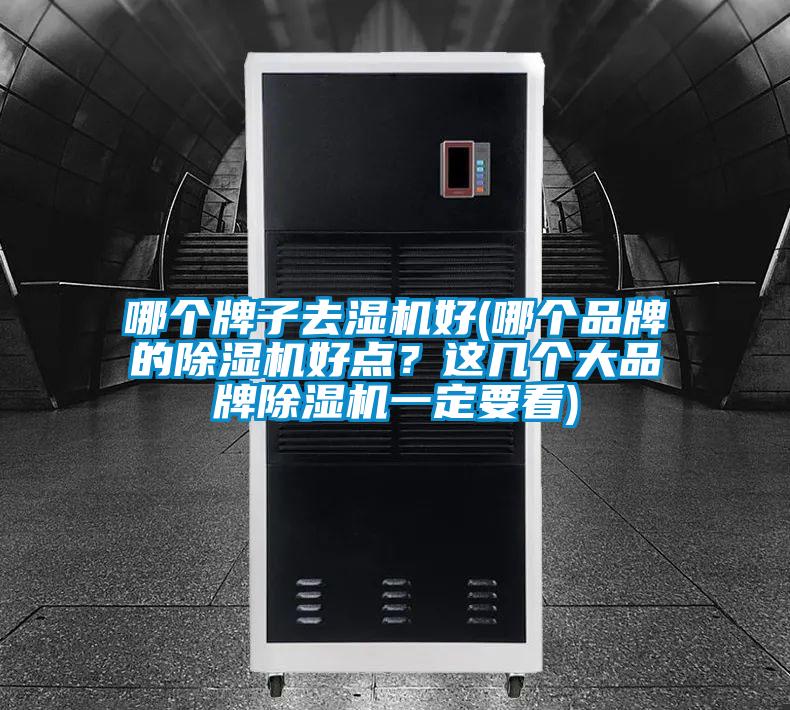 哪个牌子去湿机好(哪个品牌的除湿机好点？这几个大品牌除湿机一定要看)