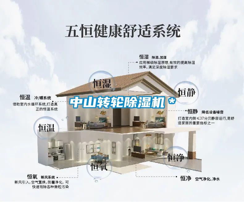 中山转轮除湿机*