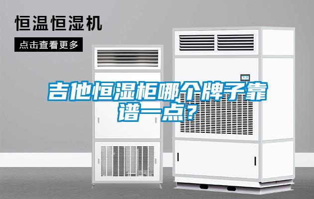 吉他恒湿柜哪个牌子靠谱一点？