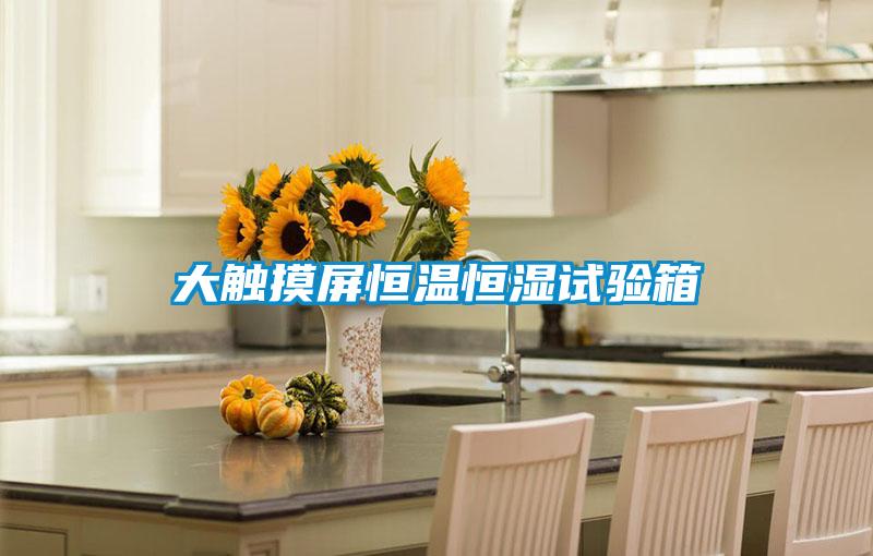 大触摸屏恒温恒湿试验箱