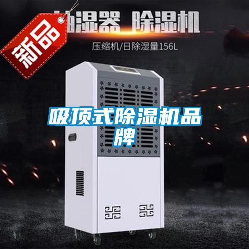 吸顶式除湿机品牌