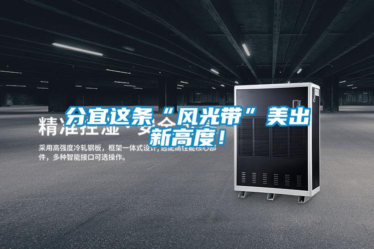 分宜这条“风光带”美出新高度！