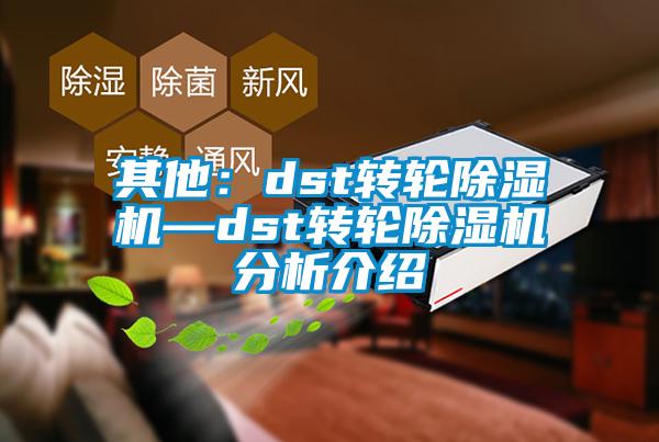 其他:dst转轮除湿机—dst转轮除湿机分析介绍