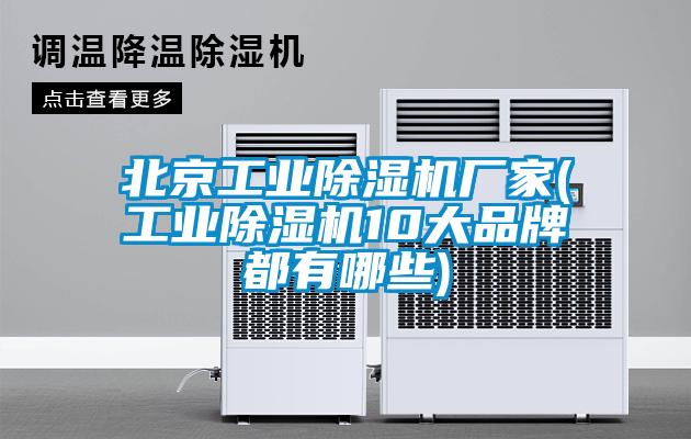 北京工业除湿机厂家(工业除湿机10大品牌都有哪些)
