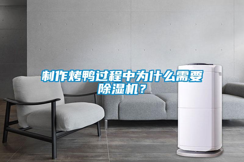 制作烤鸭过程中为什么需要除湿机?
