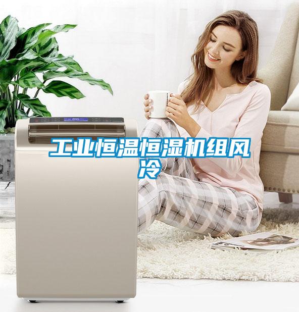 工业恒温恒湿机组风冷