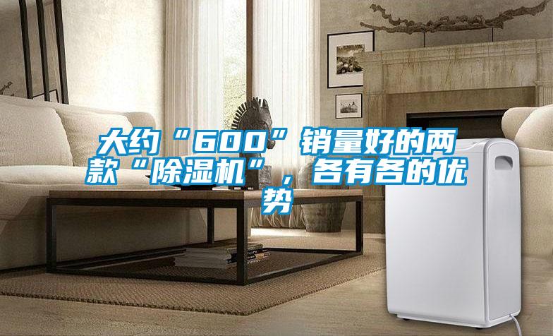 大约“600”销量好的两款“除湿机”，各有各的优势
