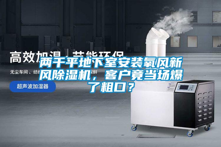 两千平地下室安装氧风新风除湿机，客户竟当场爆了粗口？