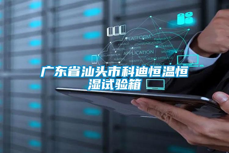 广东省汕头市科迪恒温恒湿试验箱