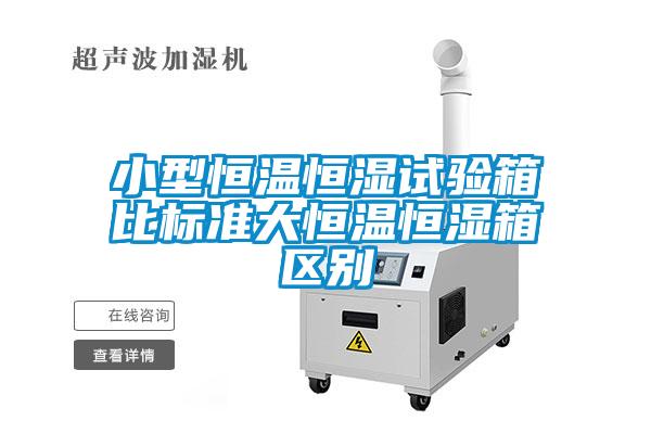 小型恒温恒湿试验箱比标准大恒温恒湿箱区别
