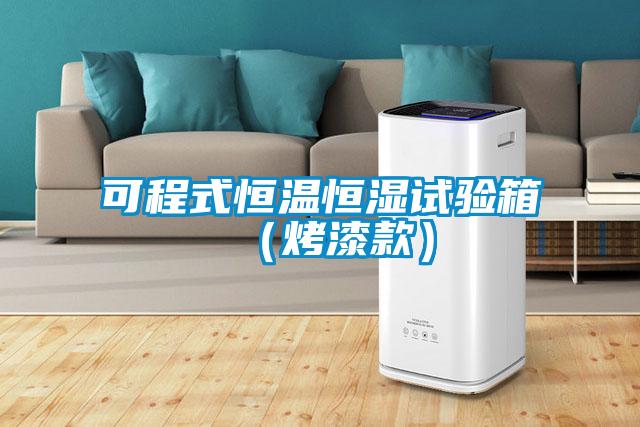 可程式恒温恒湿试验箱（烤漆款）