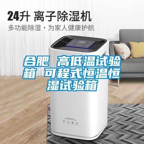 合肥 高低温试验箱 可程式恒温恒湿试验箱