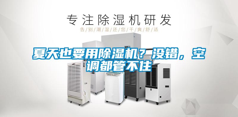 夏天也要用除湿机？没错，空调都管不住