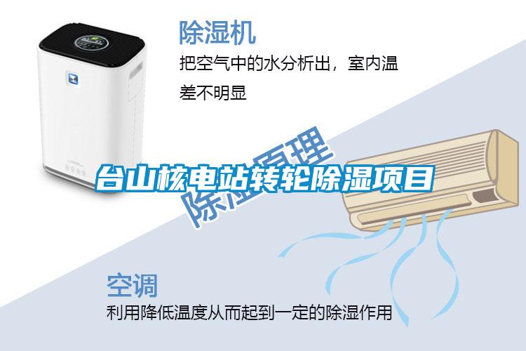 台山核电站转轮除湿项目