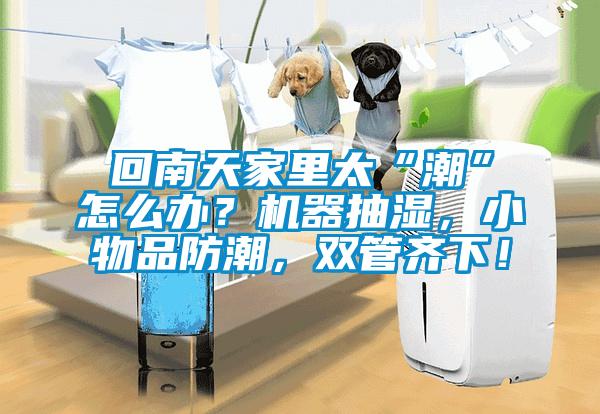 回南天家里太“潮”怎么办？机器抽湿，小物品防潮，双管齐下！