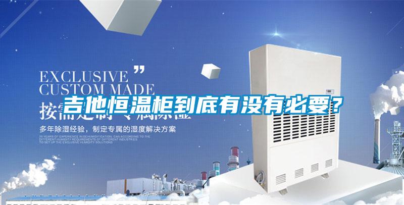 吉他恒温柜到底有没有必要？
