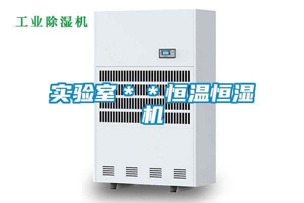 实验室＊＊恒温恒湿机