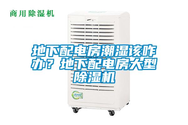 地下配电房潮湿该咋办？地下配电房大型除湿机
