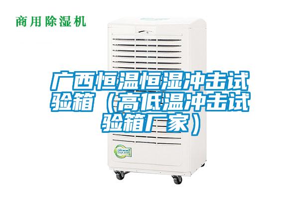 广西恒温恒湿冲击试验箱(高低温冲击试验箱厂家)