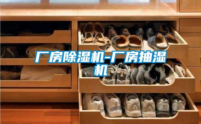 厂房除湿机-厂房抽湿机