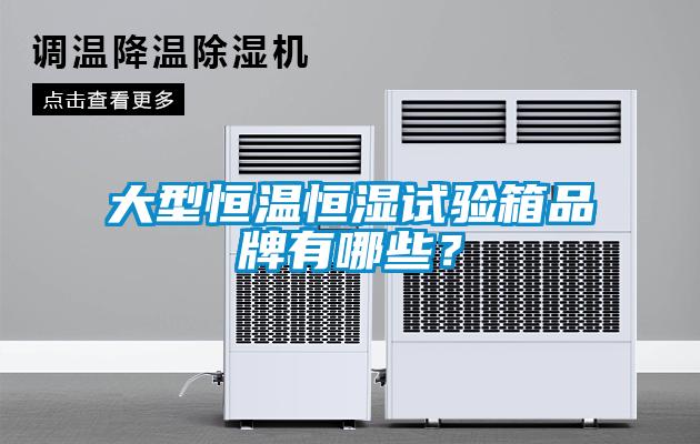 大型恒温恒湿试验箱品牌有哪些？