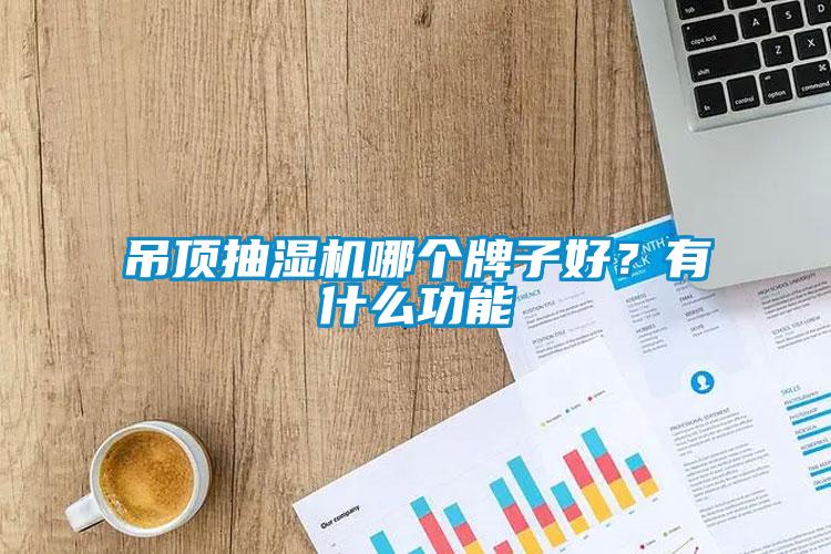 吊顶抽湿机哪个牌子好？有什么功能