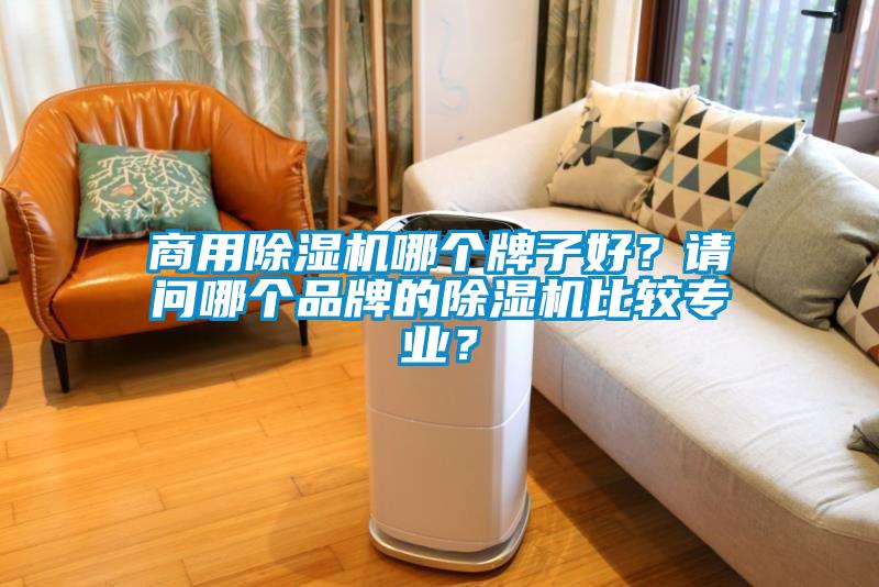商用除湿机哪个牌子好？请问哪个品牌的除湿机比较专业？