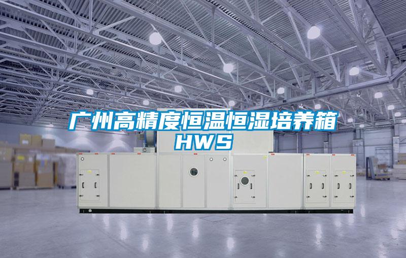 广州高精度恒温恒湿培养箱HWS