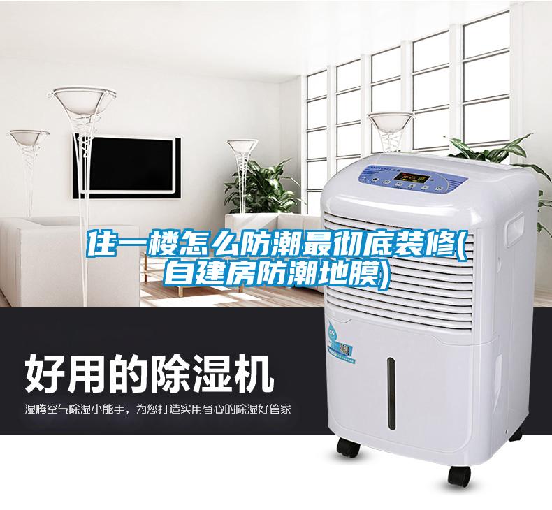 住一楼怎么防潮最彻底装修(自建房防潮地膜)