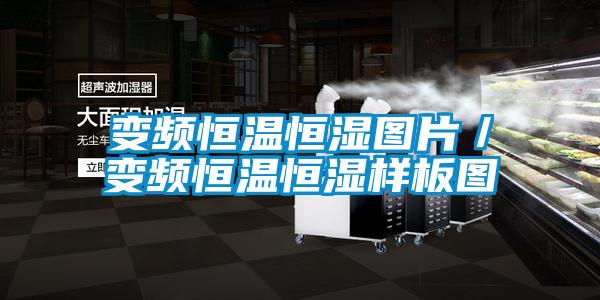 变频恒温恒湿图片／变频恒温恒湿样板图