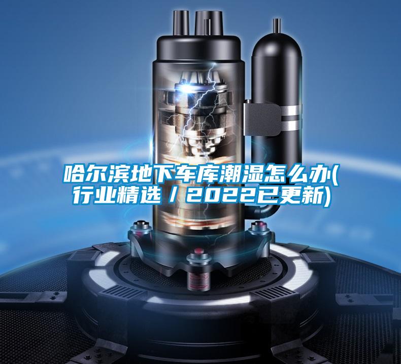 哈尔滨地下车库潮湿怎么办(行业精选/2022已更新)