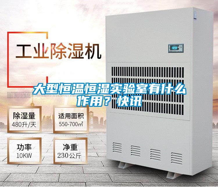 大型恒温恒湿实验室有什么作用？快讯