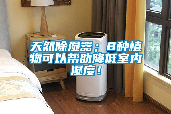 天然除湿器；8种植物可以帮助降低室内湿度！