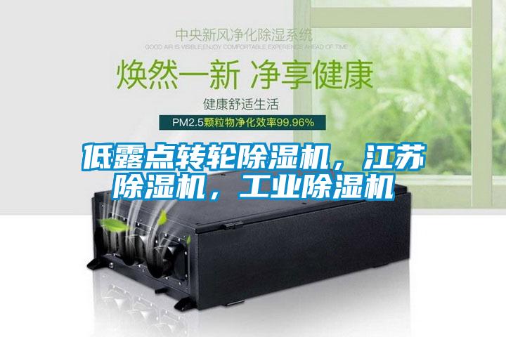 低露点转轮除湿机，江苏除湿机，工业除湿机