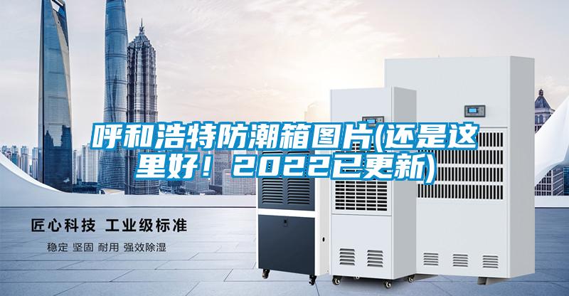 呼和浩特防潮箱图片(还是这里好!2022已更新)